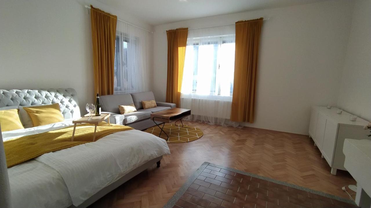 Vila Sik Nove Mesto na Morave Dış mekan fotoğraf