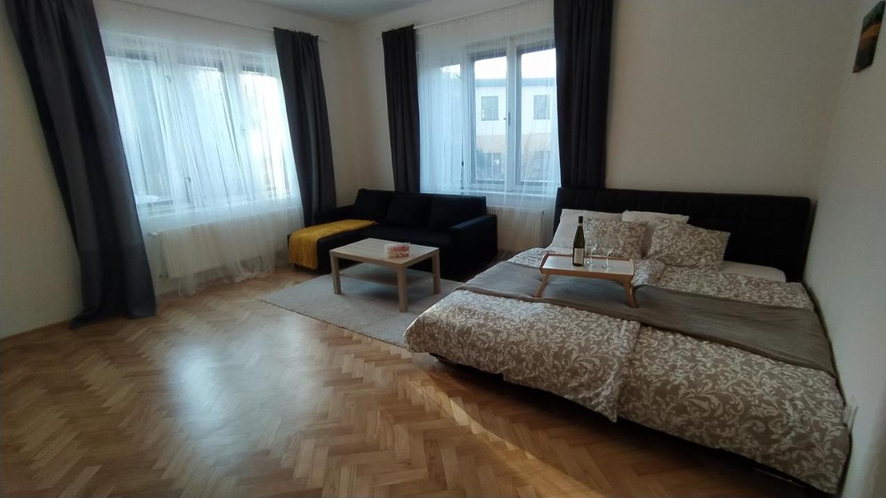 Vila Sik Nove Mesto na Morave Dış mekan fotoğraf